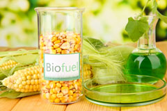 Sheinton biofuel availability