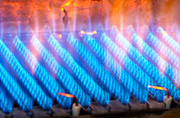 Sheinton gas fired boilers